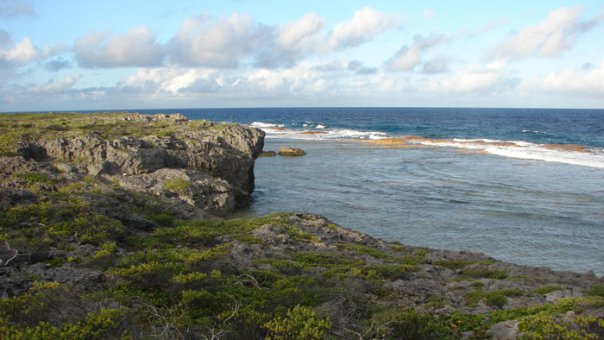 Atiu Panui – Land Court: May 2026